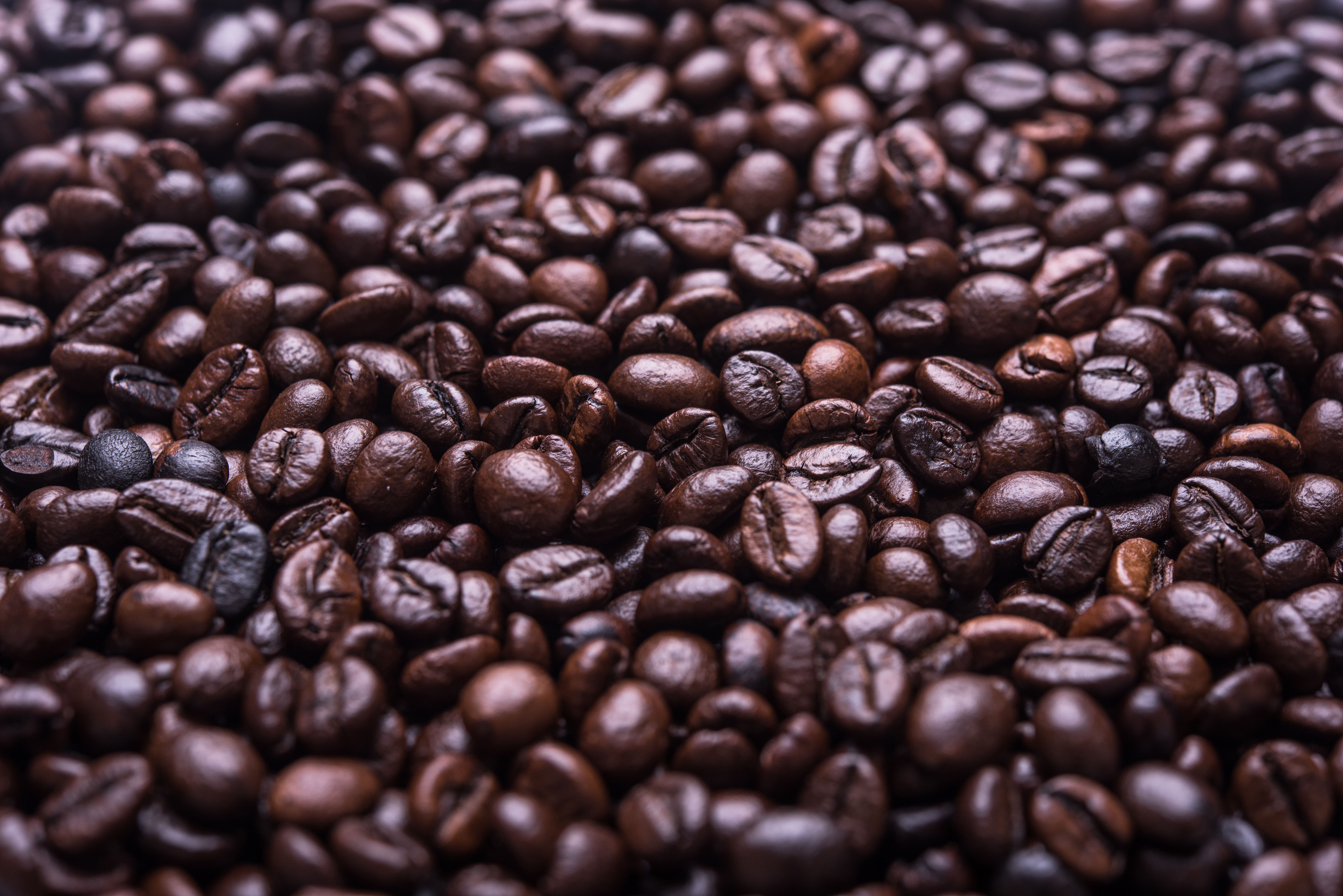 coffeebeans coffee beans